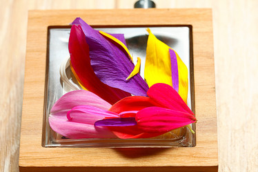 Similar image 10519028