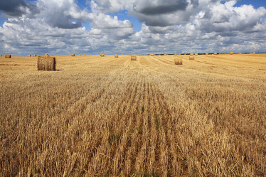 Similar image 10519029