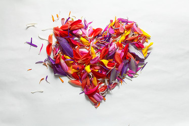 Similar image 10519034