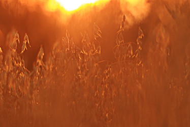 Similar image 10519036