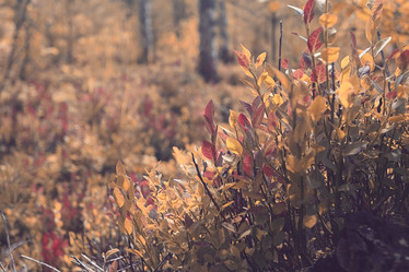 Similar image 10519038