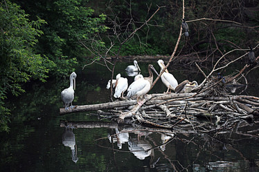 Similar image 10519042