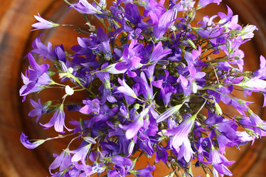 Similar image 10519047