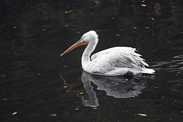 Similar image 10519049