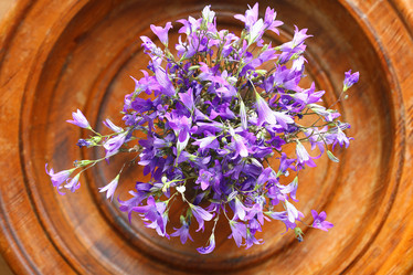 Similar image 10519050