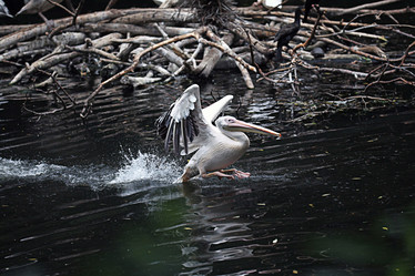 Similar image 10519051