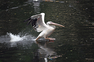 Similar image 10519053