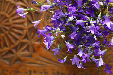 Similar image 10519054