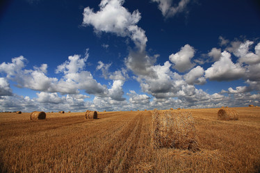 Similar image 10519061