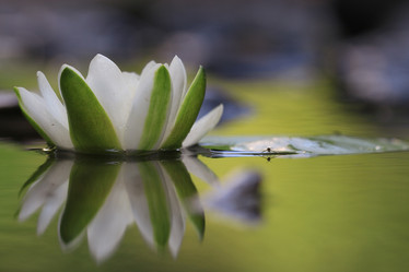 Similar image 10519068