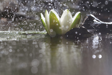 Similar image 10519071