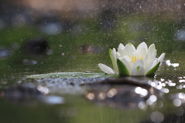 Similar image 10519072