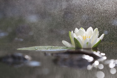 Similar image 10519073