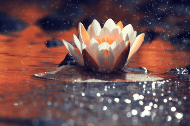 Similar image 10519076