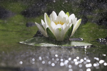 Similar image 10519077