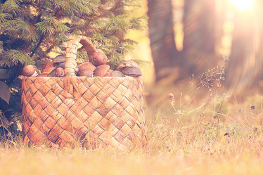 Similar image 10519123