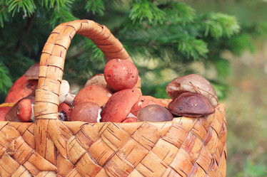 Similar image 10519125