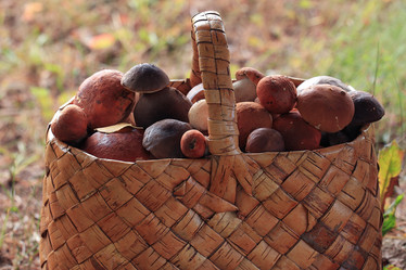 Similar image 10519126