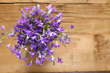 Similar image 10519127