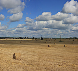 Similar image 10519134