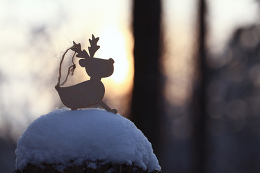 Similar image 10519135