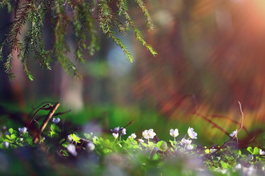 Similar image 10519213