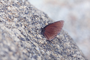 Similar image 10519217