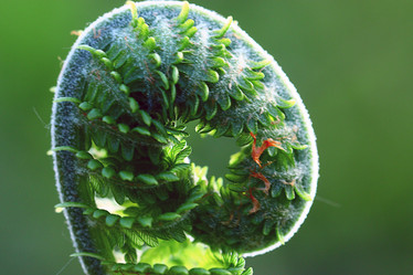 Similar image 10519223