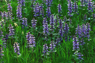 Similar image 10519226