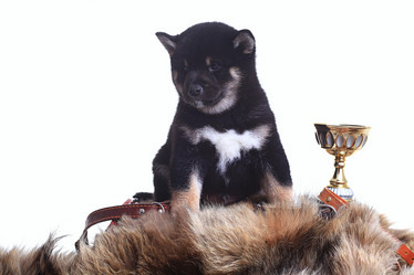 Similar image 10519228