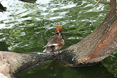 Similar image 10519258