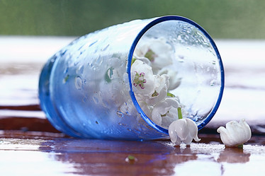 Similar image 10519263