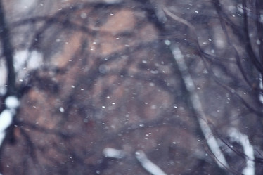 Similar image 10519266