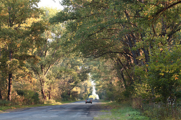 Similar image 10519267