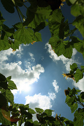 Similar image 10519274