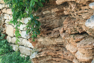 Similar image 10519279