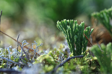 Similar image 10519280