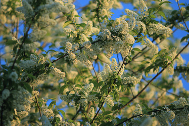 Similar image 10519316