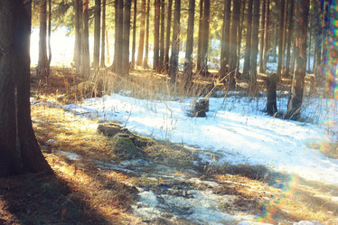 Similar image 10519318