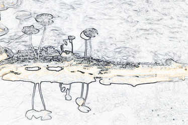 Similar image 10519320