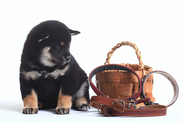 Similar image 10519322