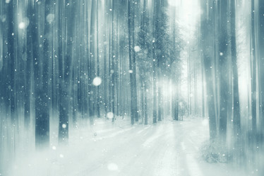 Similar image 10519326