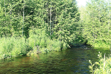 Similar image 10519327