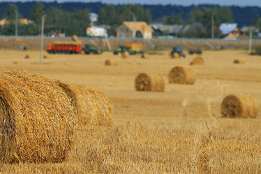 Similar image 10519328