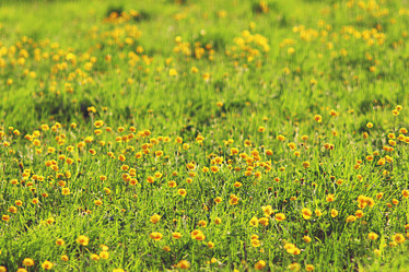 Similar image 10519373