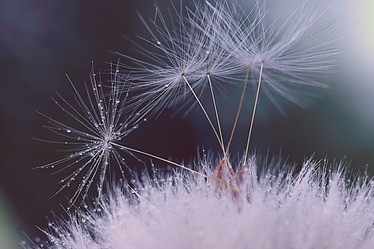 Similar image 10519378