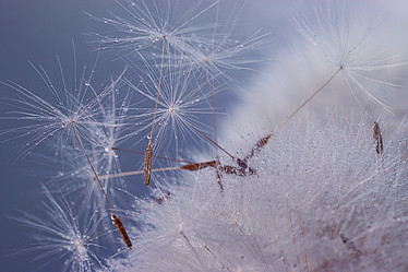 Similar image 10519380