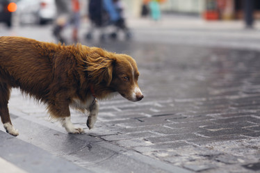 Similar image 10519387