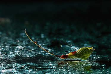 Similar image 10519388