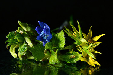 Similar image 10519390